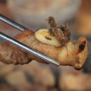 한라축산 이미지