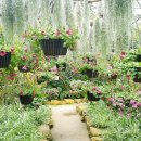 완도수목원 이미지