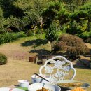 마당밥상 이미지