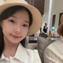 진메디팜 | 신혼여행 day1 :: 두바이 오후 시티투어 | 알시프 두바이왕궁 모노레일 두바이몰 트라이브스