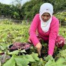 제이엠농장 이미지