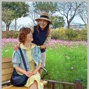 황룡강 꽃길 이미지