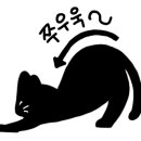 채선당도시락&샐러드 이미지