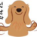 장임선치과 이미지