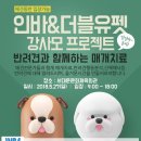 인바 이미지
