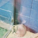 쥬라리움 테마파크 파주점 | 비 오는 날도 OK! 내돈내산. 파주 쥬라리움에서 즐기는 특별한 실내 나들이