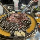 돗배갈매기 이미지