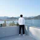 그레이트버뮤다 이미지