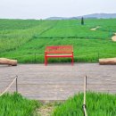 산수화농장 이미지