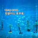 베트남어_처음(야간) | 푸꾸옥] 빈원더스 푸꾸옥 - 세계에서 가장 큰 5대 수족관 관람 후기 인어쇼 시간 푸꾸옥 북부 가볼만한곳