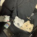 상지원 | 2025. May.