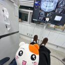 완전씹깊은매복 수평사랑니 발치 1일차_치과에서 눈물 질질 흘린 chill girl