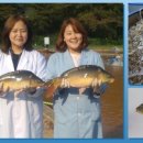 (주)셀트라존 이미지