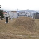 김전선생묘 및 신도비 네이버블로그