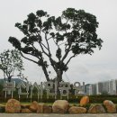 시민공원 남문 이미지