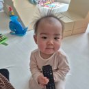 신우정비 - 강서구 생곡산단1로 7 | 이누야마성, 성하마을, 나고야역 발마사지 추천(Foot Therapy), 히츠마부시 맛집 우나우 오카후지후기