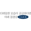 디뮤어 카라반 이미지