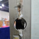 달중이네 펫호텔 이미지