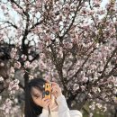 나들이 | [서울/종로]경복궁 벚꽃나들이 후기!