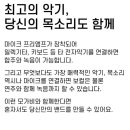 모가비 이미지