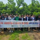 임양숙「나무」 이미지