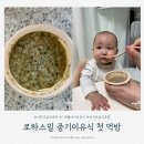 [육아기록] 7개월 아기 시판 이유식 추천 로하스밀 첫 먹방 중기이유식 반응 후기