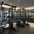 핏버디짐 이미지