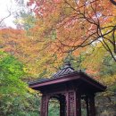 루네쌍스다방 | 서울 가을에 가볼만한 곳, 단풍이 멋진 석파정 강추