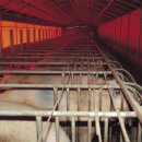 행복한태양광발전소 이미지