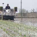 단평1리 이미지