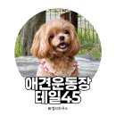 용인시종합운동장 | [내돈내산] 용인 테일45 솔직후기(입장료/시설/꿀팁 총정리)