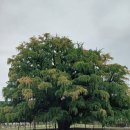 소래산공영주차장 이미지