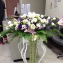 방배1동 _ 이미지