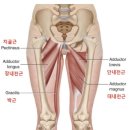 바디&타이 이미지