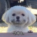 세월천로115번길 이미지