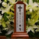 보보나인