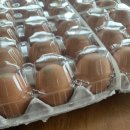 계성양계영농조합법인 이미지