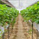 아이와농장 이미지