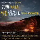 선유애견 네이버블로그