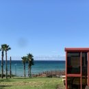 종달 홀라인 이미지