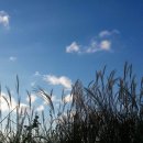 가곡마당 이미지