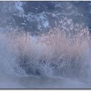 하얀물안개 이미지