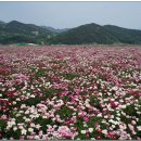 산골농원 이미지