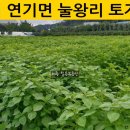 건축사사무소국도 이미지