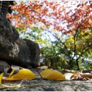 정방사길 이미지