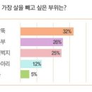 (썸머이벤트)제비가 돌아왔다 이미지