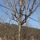 생생1킬로 이미지