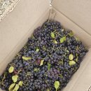 아름1농장 이미지