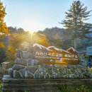 지리산풀잎 이미지