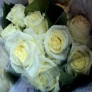시요일詩謠日 식구들과 봄소풍, 안산 수리골*카페 숲*궁평항과 시인 황정순님의 시집 "어떤 고요" 출간기념회 이미지